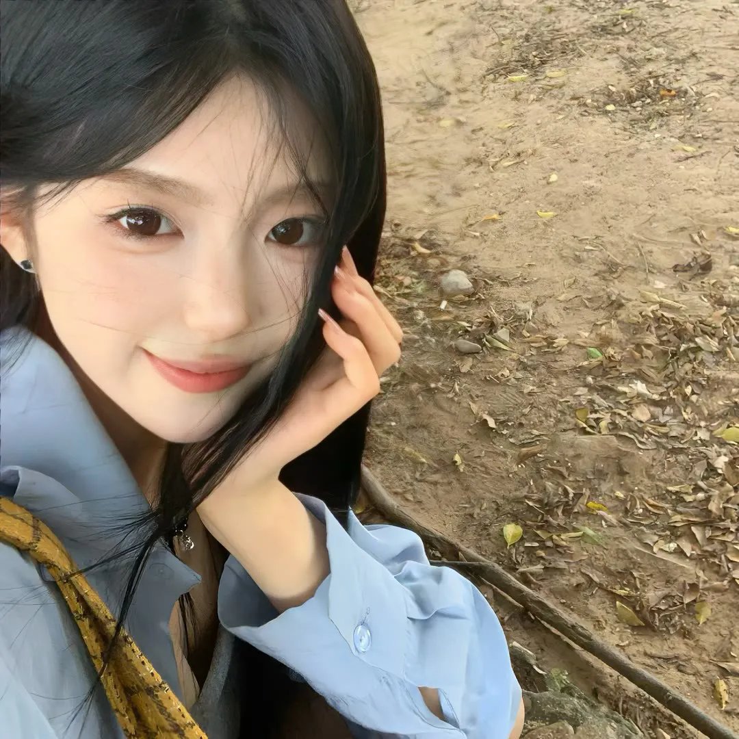 春满凤城